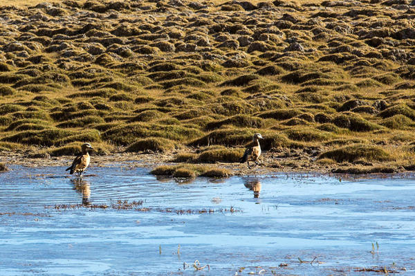 9 Tage Überlandreise von Lhasa nach Kathmandu mit Namtso und Everest