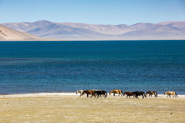 Von England nach Tibet