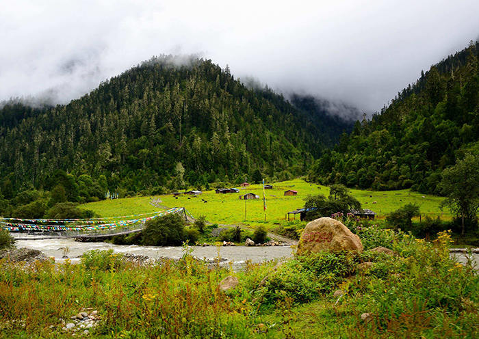 Der Lulang Wald – Alpenähnliche Szenerie in Tibet