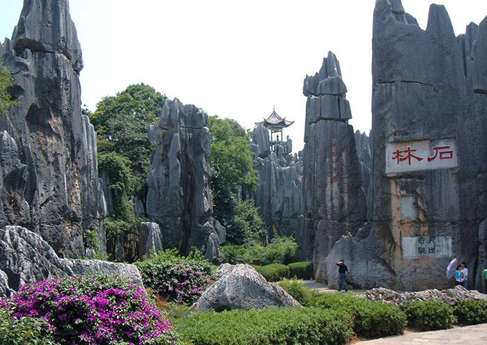 Stone Forest Scenic